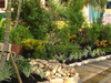 Lehigh Acres Landscaping Company