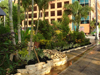 Lehigh Acres Landscaping Company