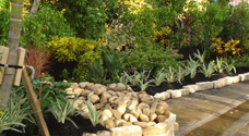 Southwest Florida Landscaping